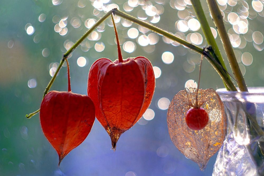 Photograph by Марина Соколова