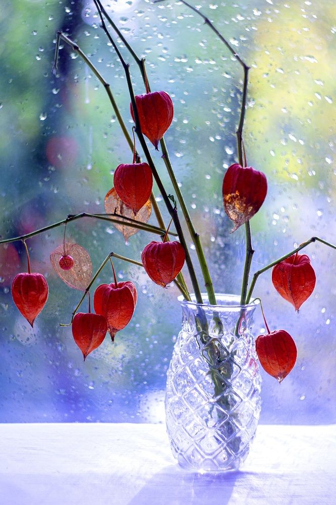 Photograph by Марина Соколова