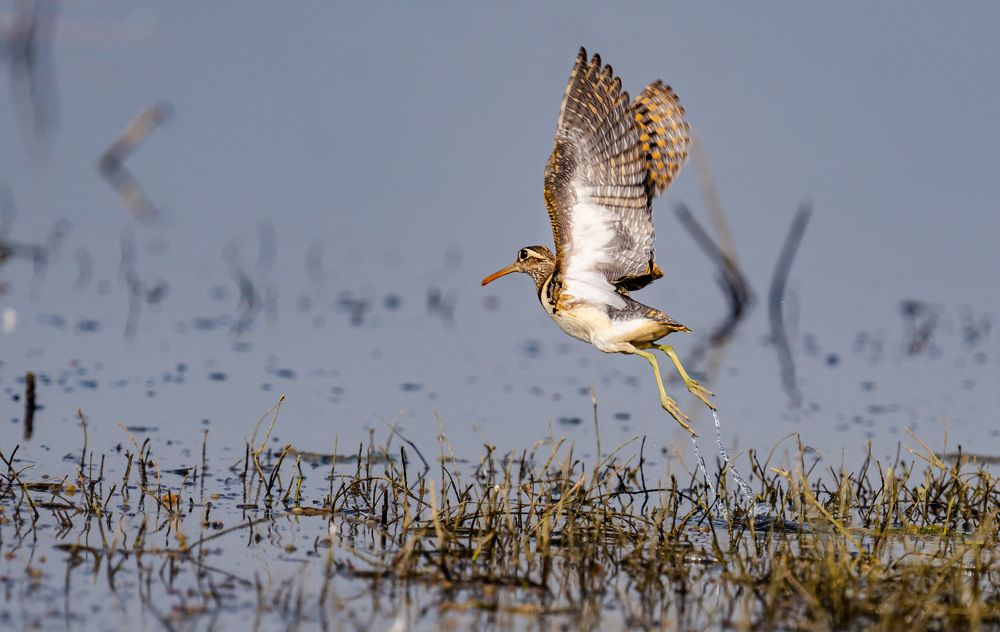 Photograph by Nitin Baste