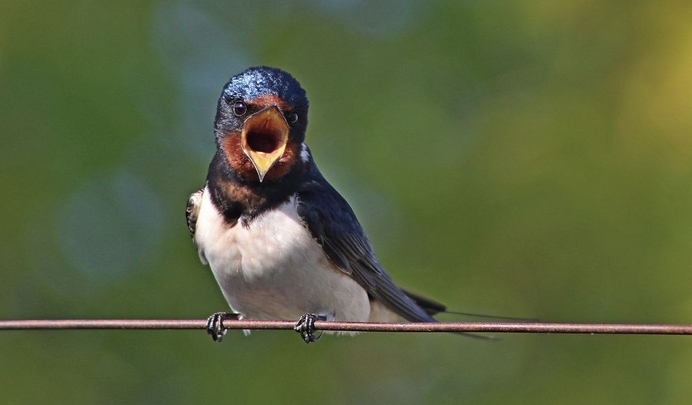 Photograph by Galina Tsmyg