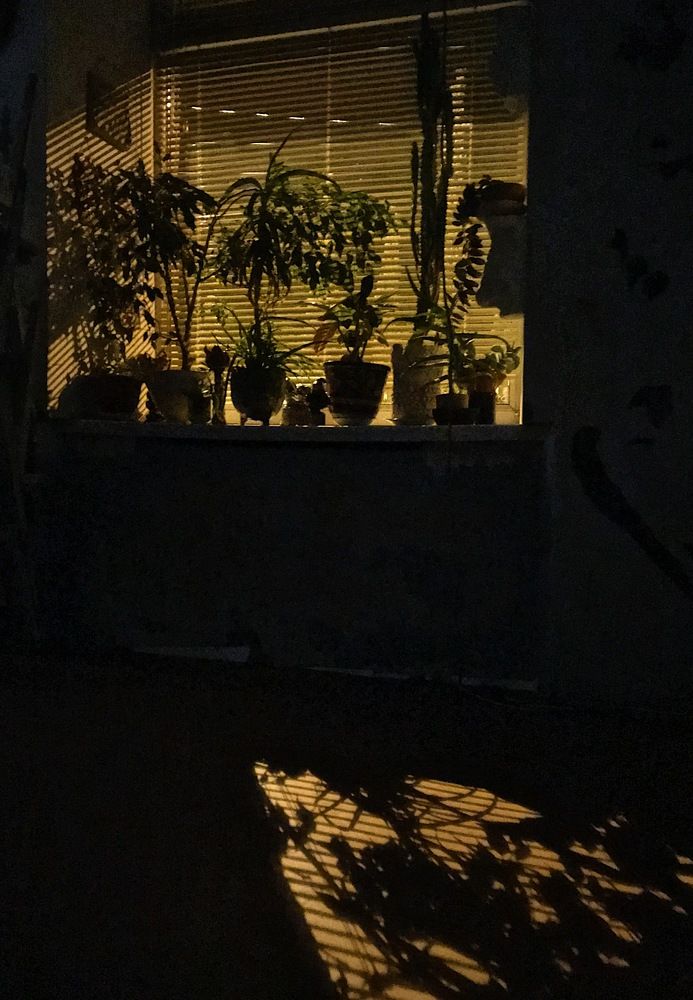 Photograph by Анастасия