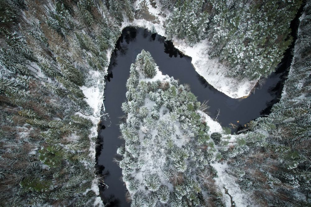 Photograph by Andrey Purtov