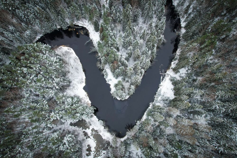 Photograph by Andrey Purtov