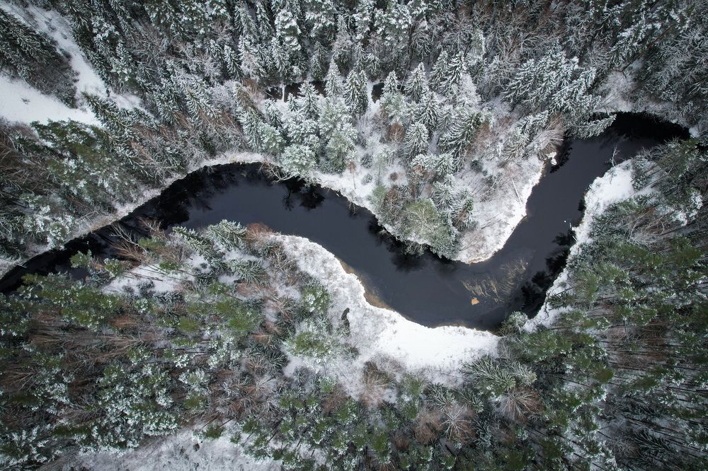 Photograph by Andrey Purtov