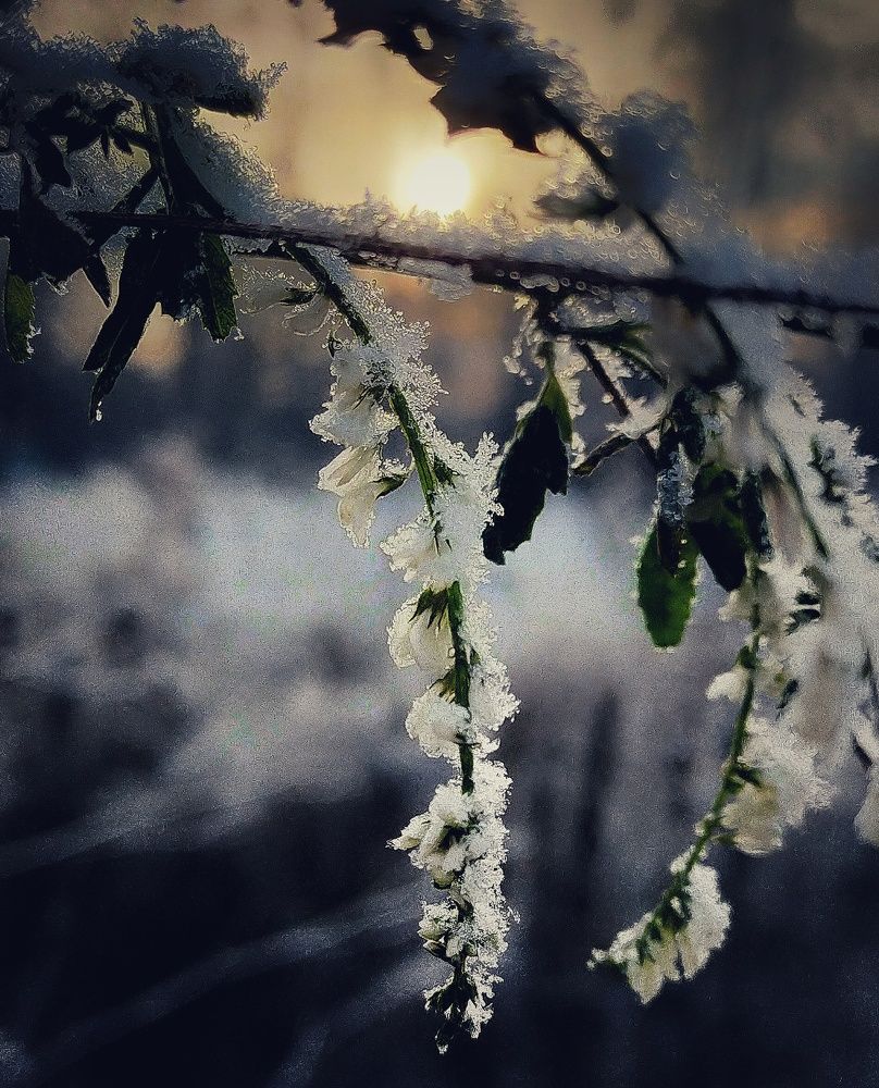 Photo #8476233