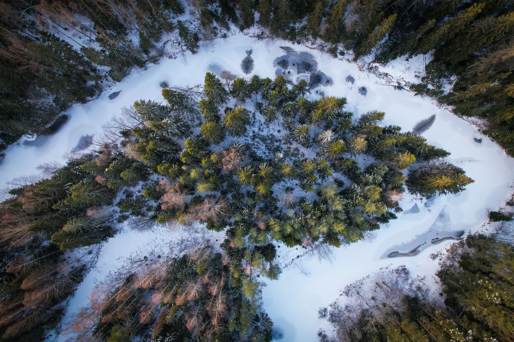 Photograph by Andrey Purtov