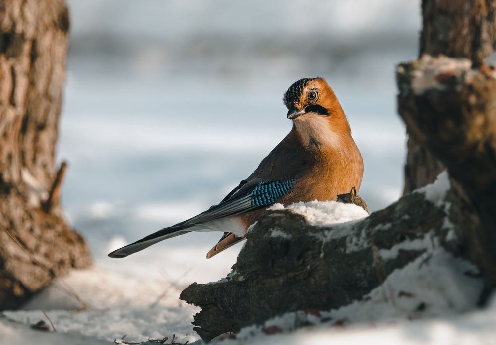 Photograph by Виталий Богачев