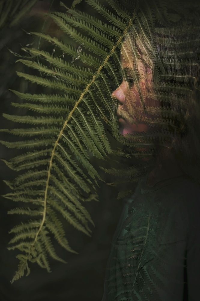 Photograph by Ольга Свистунова