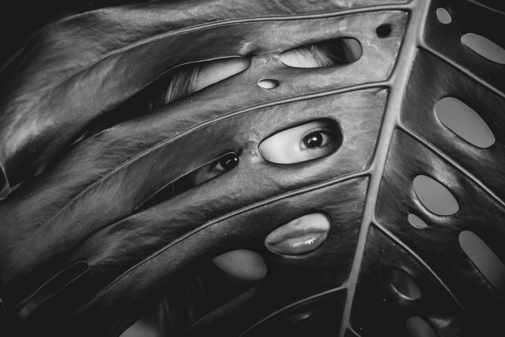 Photograph by Ольга Свистунова