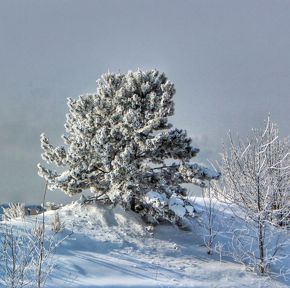 Photograph by Владимир Сушкин