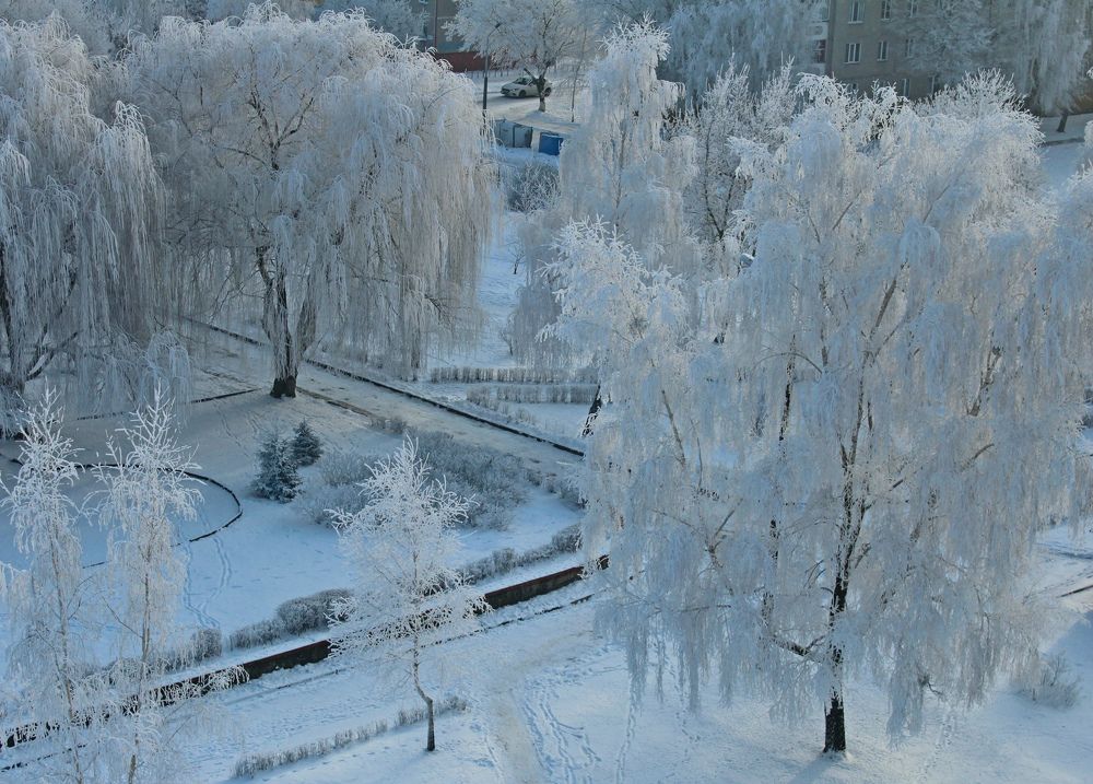 Photograph by Galina Tsmyg