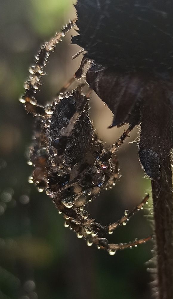 Photograph by Ольга Тихонова