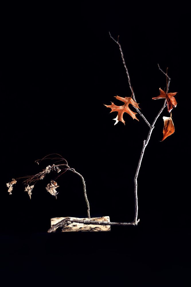 Photograph by Svetlana Frank