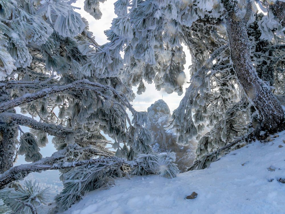 Морозное утро на Ай-Петри