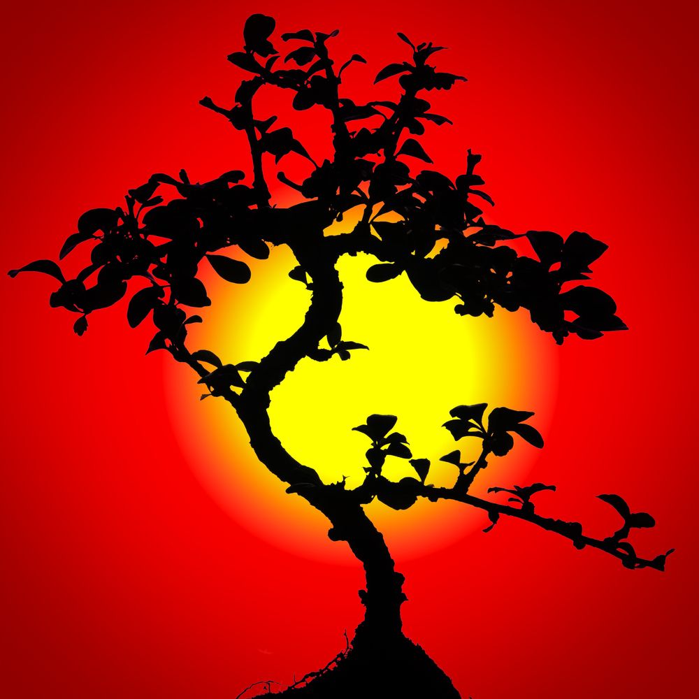 Photograph by Aleksandr Belov