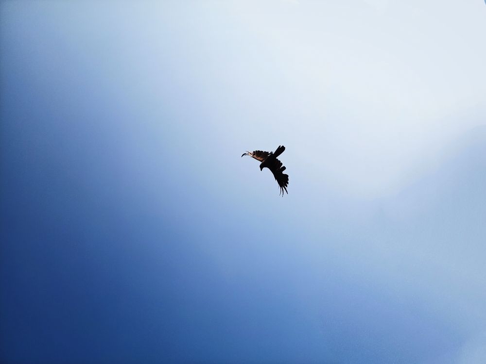 Photograph by VANDNA SINGH