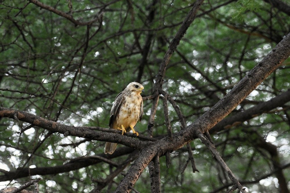 Photograph by Neelimaa Ripote