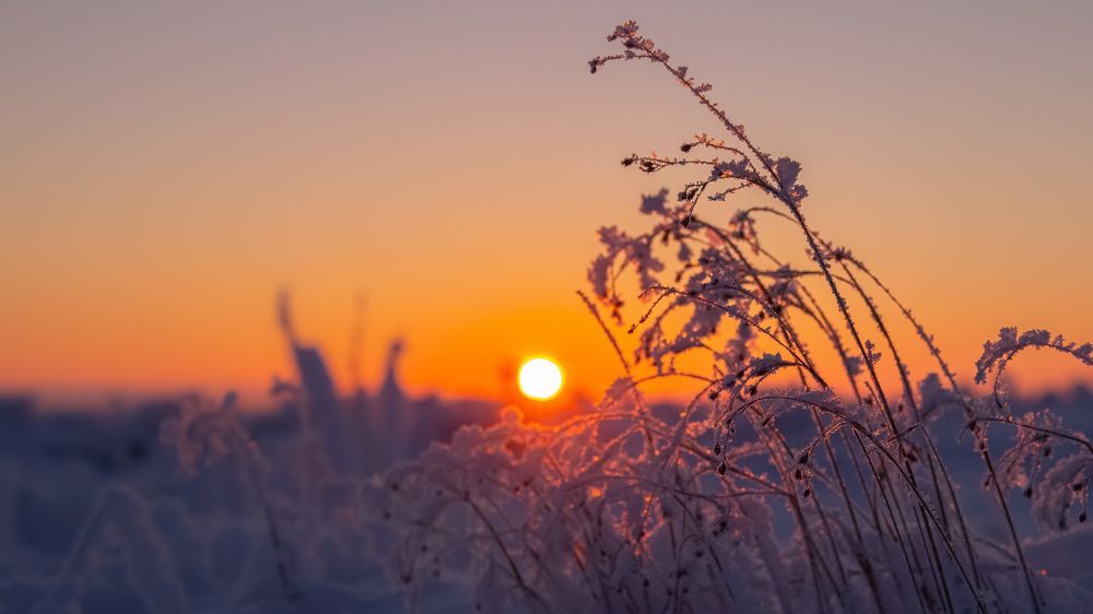 Photograph by Антон Дроздов