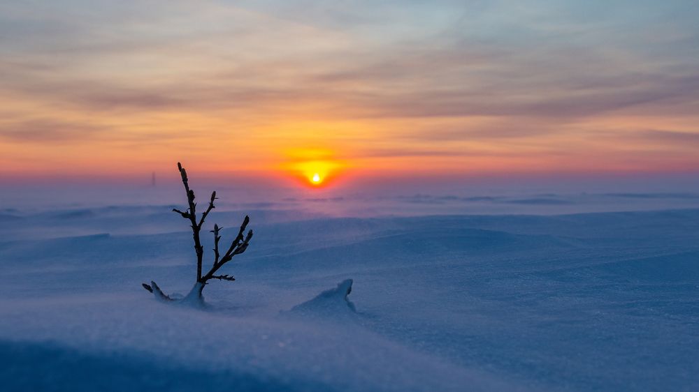 Photograph by Антон Дроздов