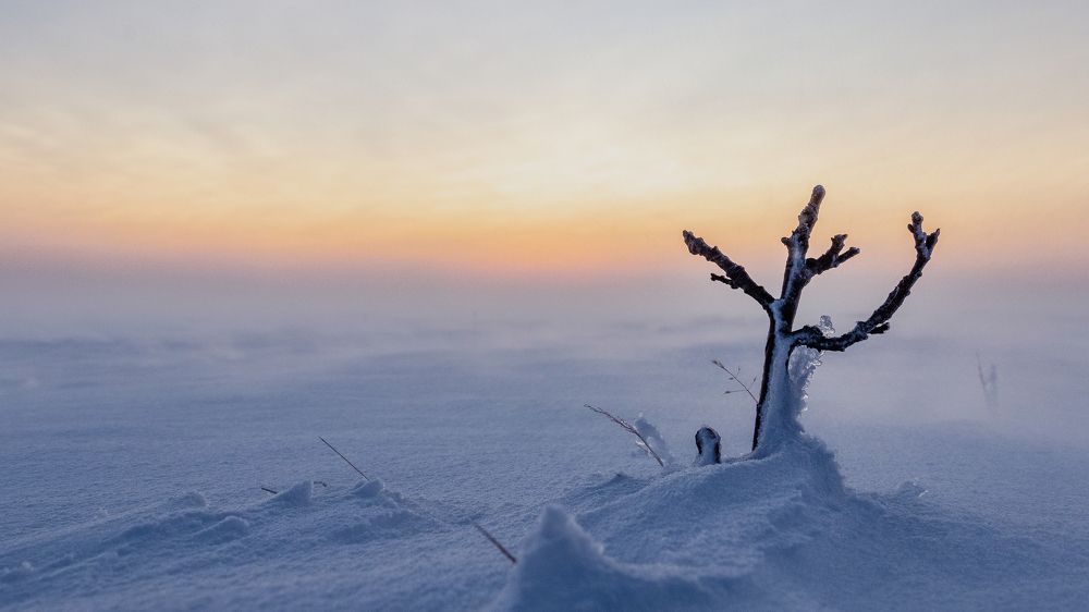 Photograph by Антон Дроздов