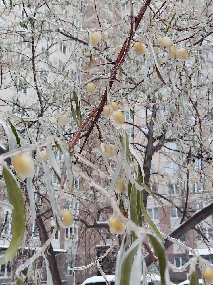 Photograph by Анастасия Липаткина