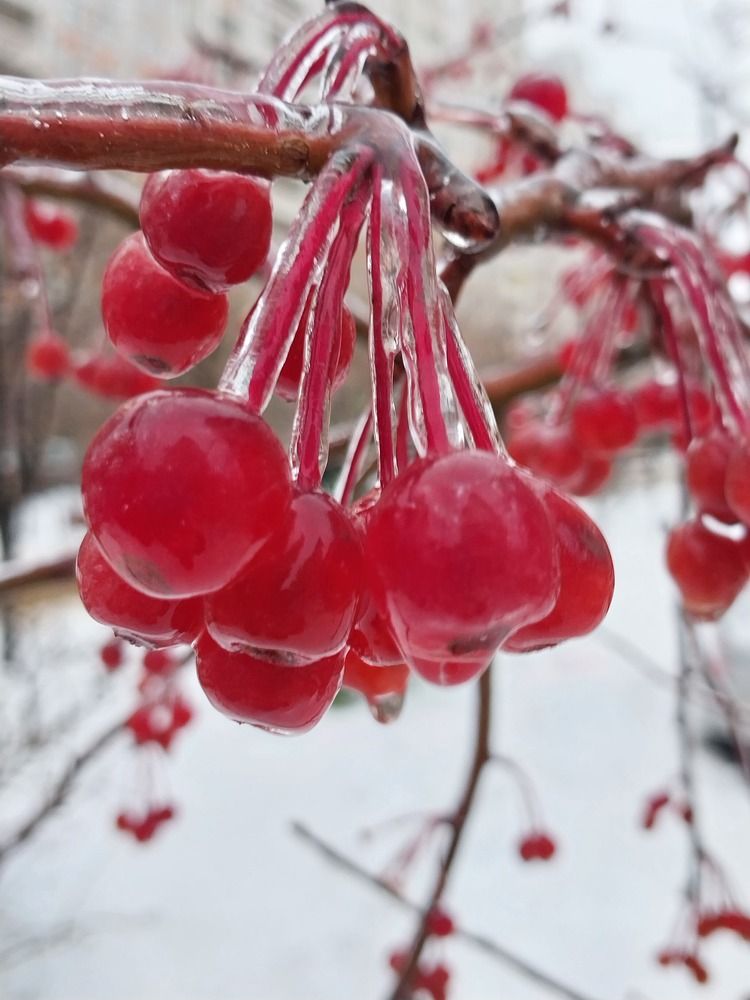 Photograph by Анастасия Липаткина