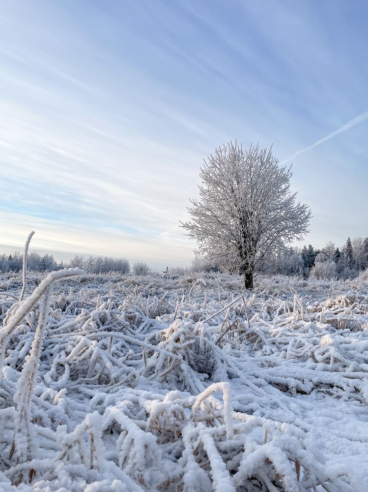 Photograph by Юлия Коншина