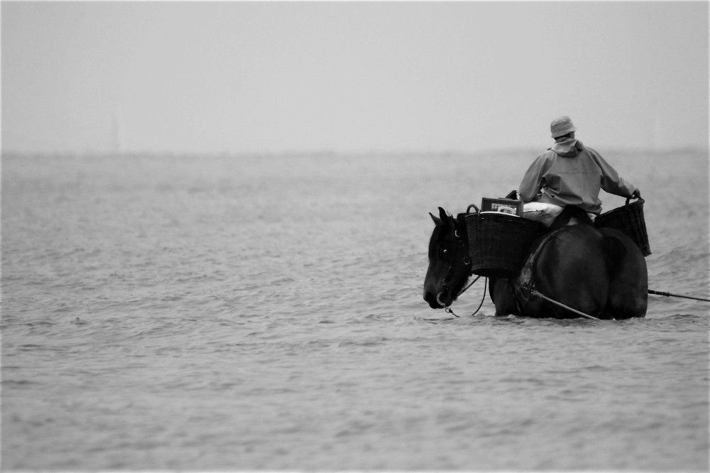 Фотография автора caroline martin (dony)