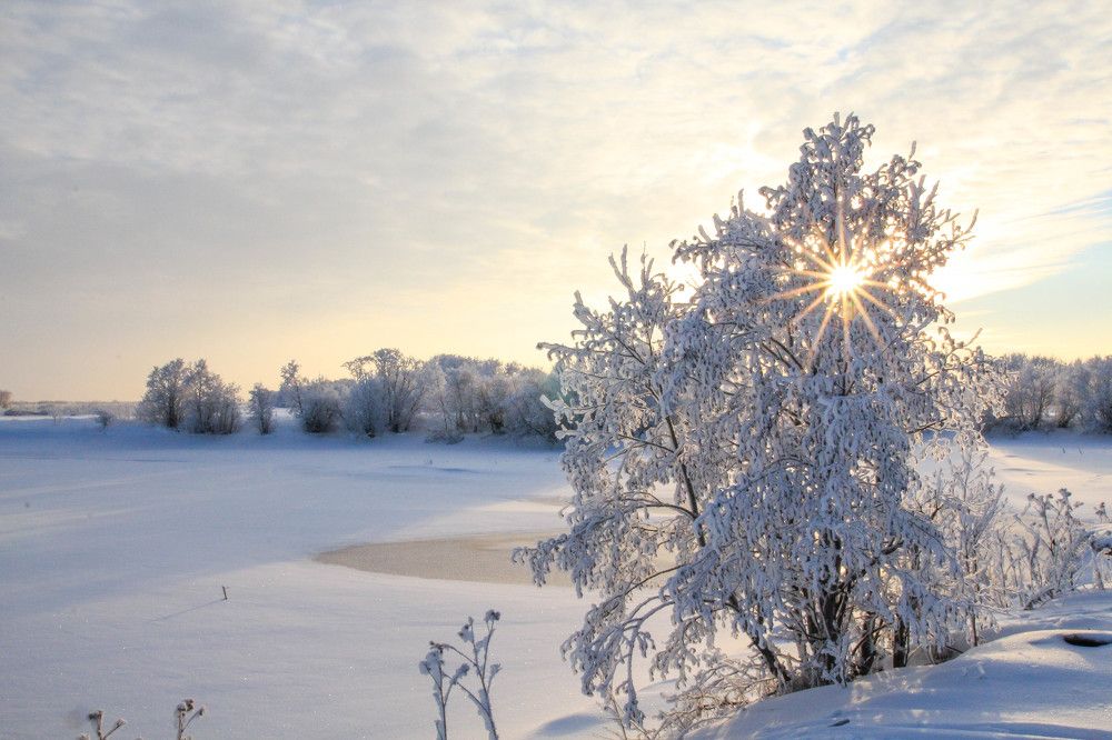 Photograph by Александр Трифанов