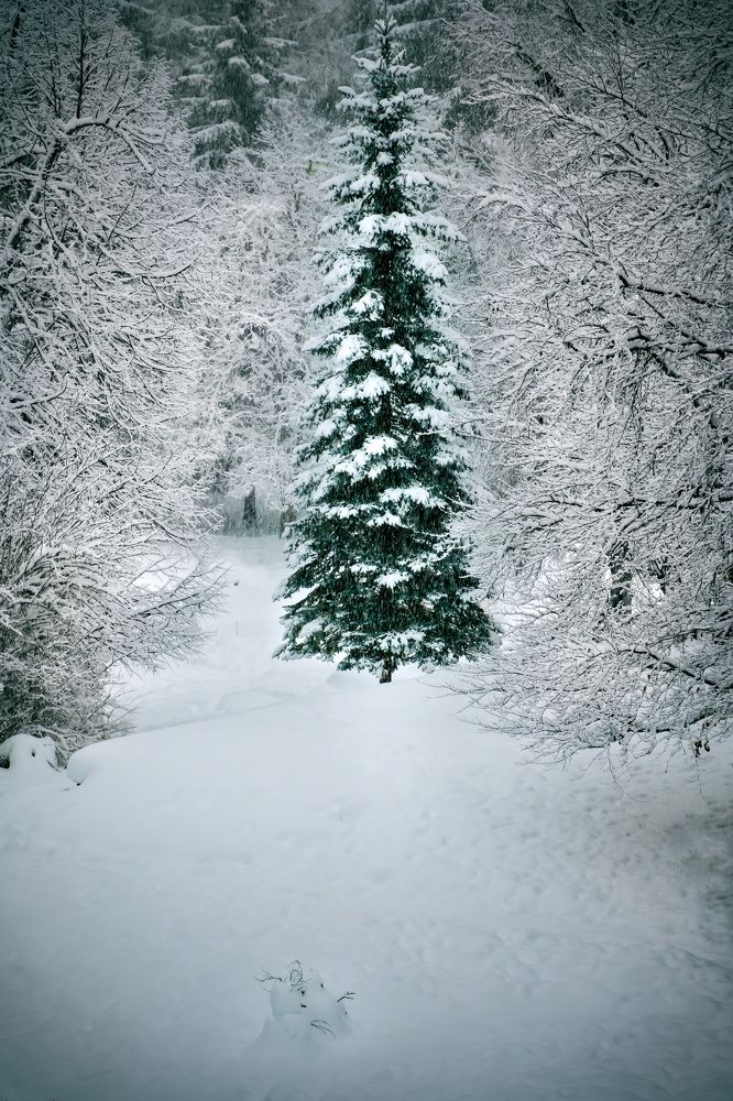 Photograph by Наталья Пирогова