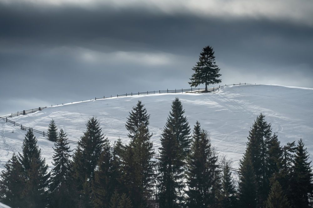 Photograph by Наталья Пирогова