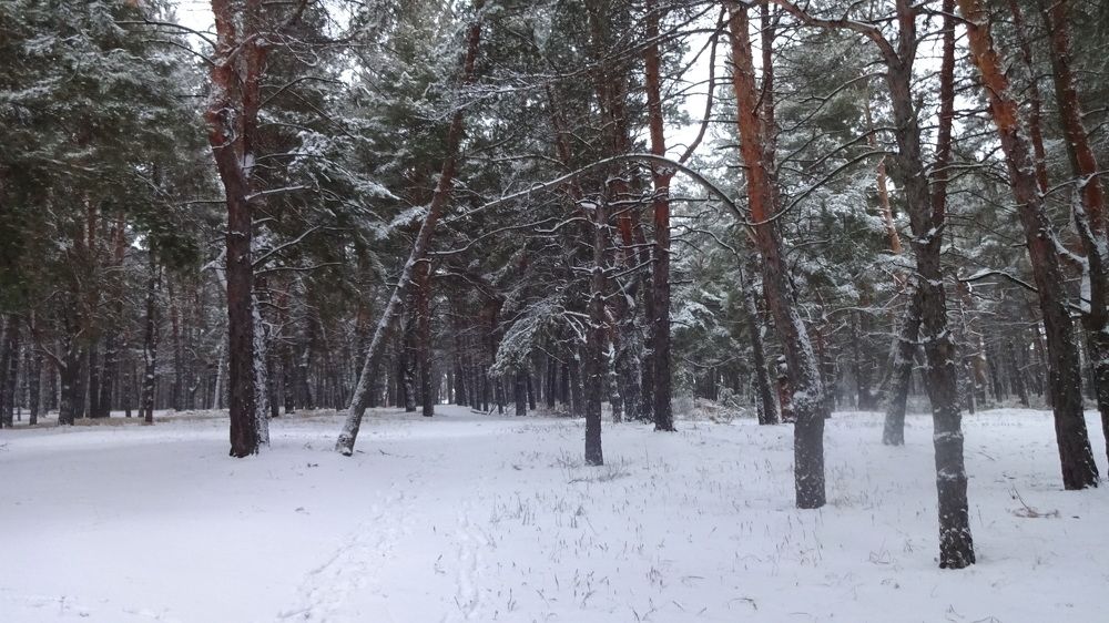 Photograph by Елена Мясникова