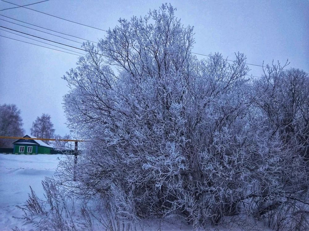 Photograph by Анастасия Игошина