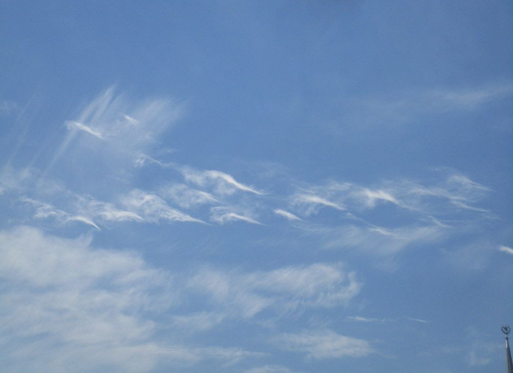 Photo #8476558