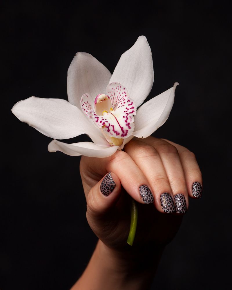 Photograph by Елена Комова