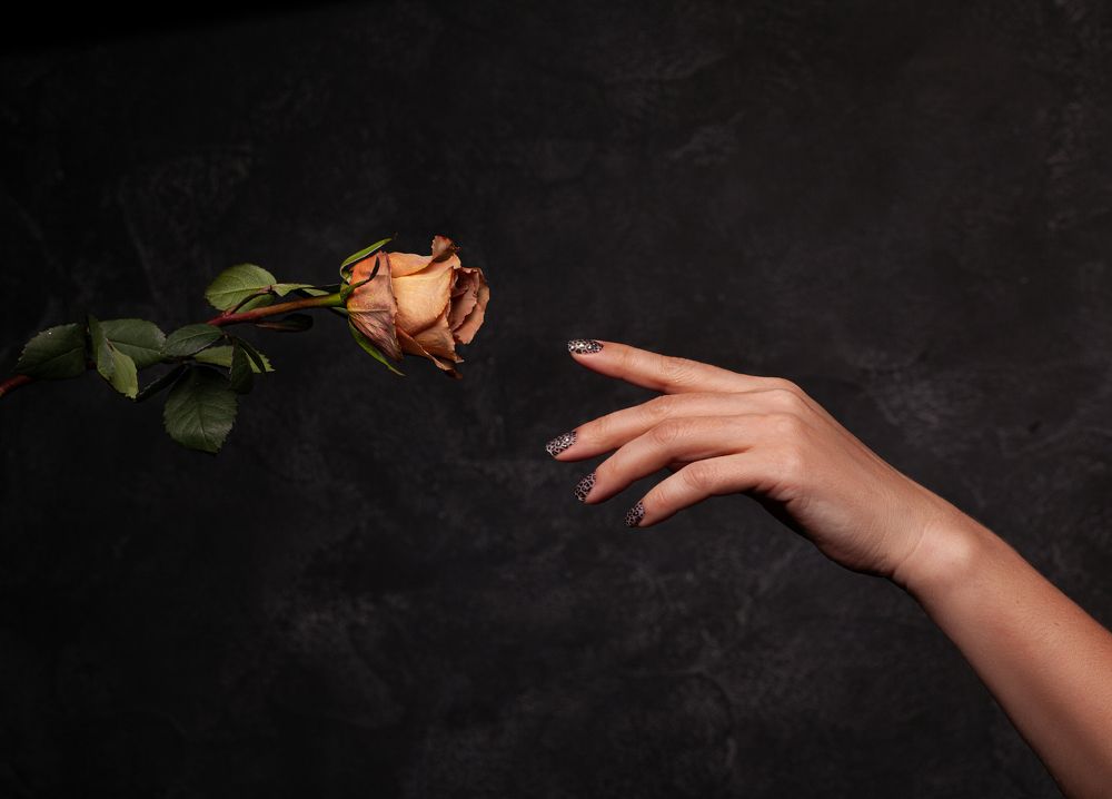 Photograph by Елена Комова