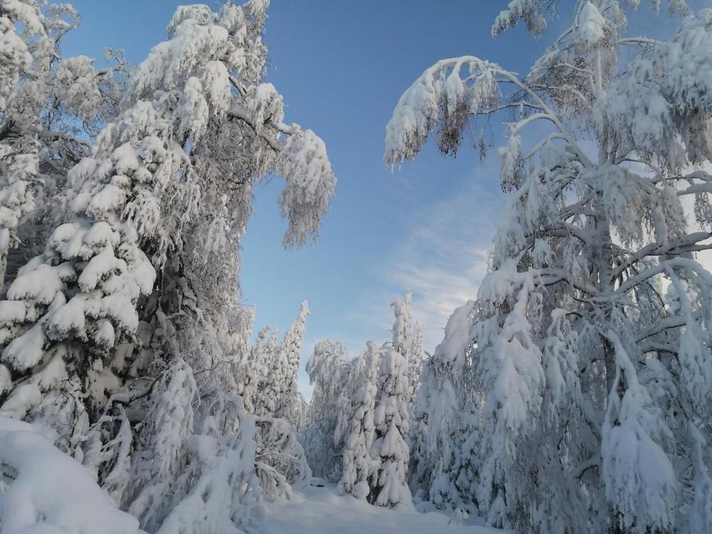 Photograph by Сергей Панков