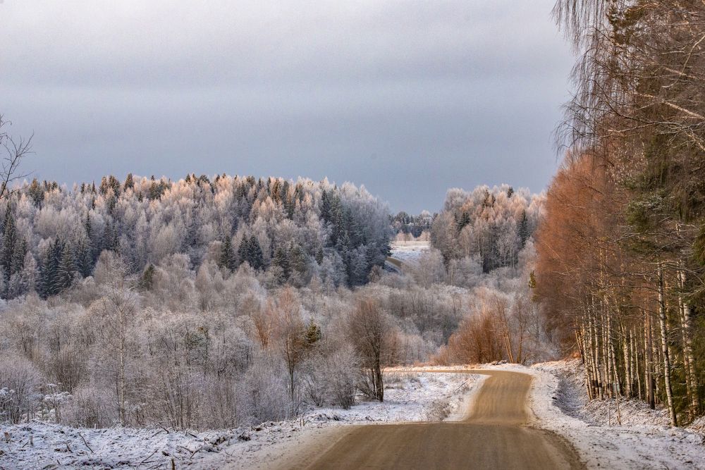 Photograph by Николай Лысцев
