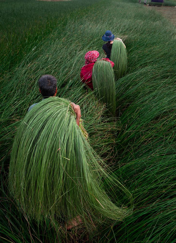 Photograph by Hanh P. T. Pham