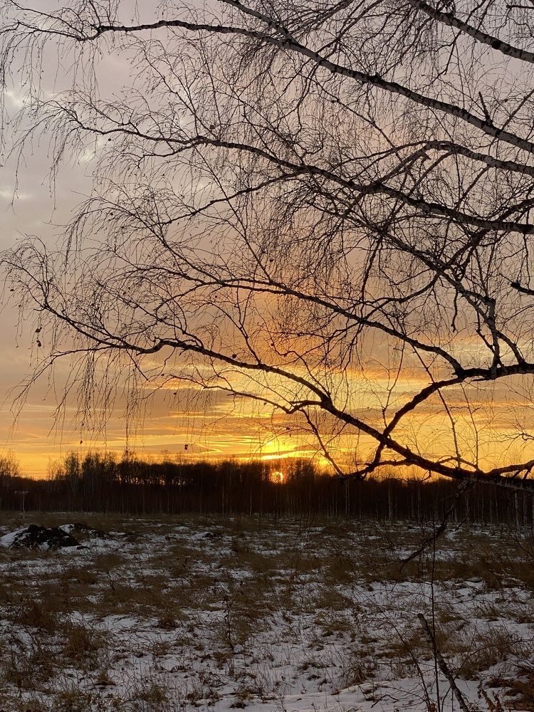 Photograph by Ольга Рачилова