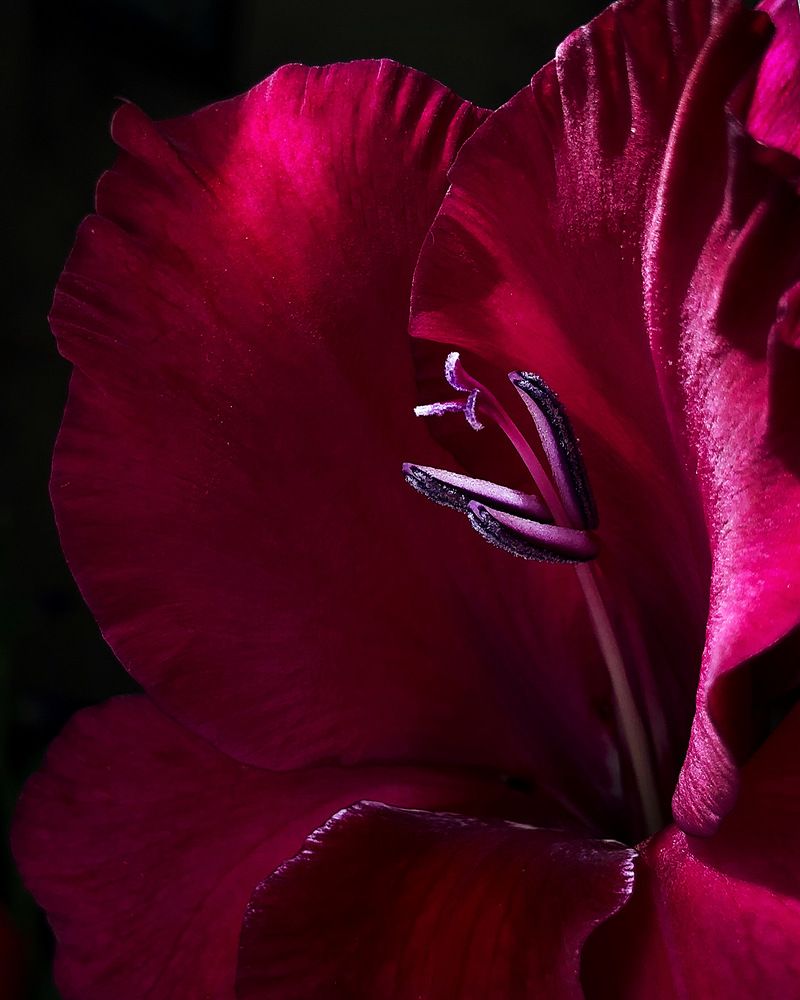 Photograph by Halina Mitsevich