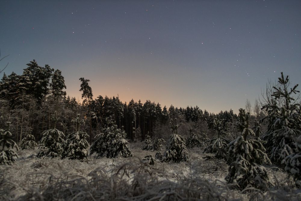 Photograph by Михаил Володин