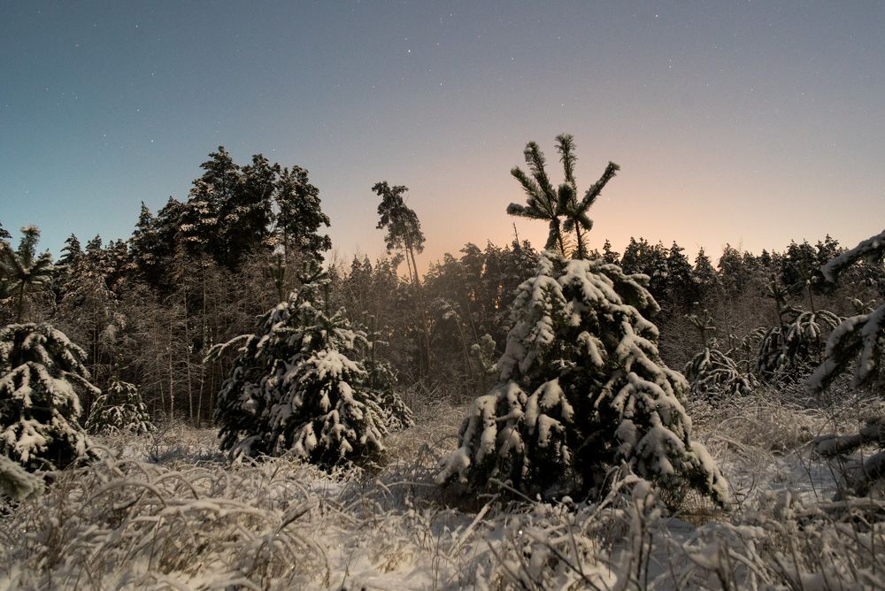 Photograph by Михаил Володин