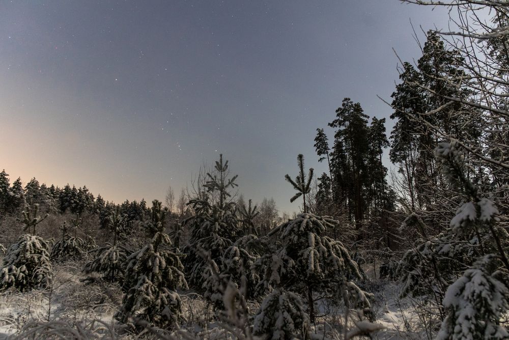 Photograph by Михаил Володин