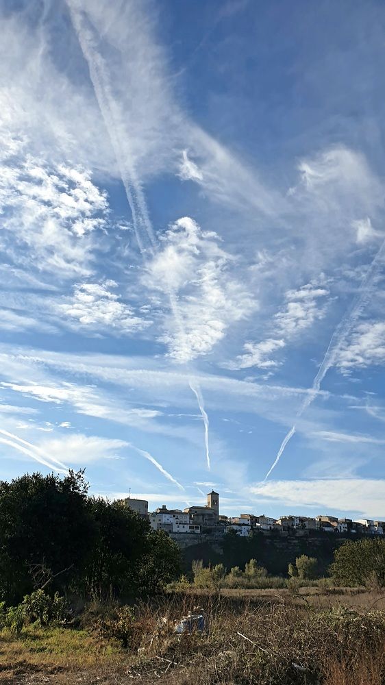 Фотография автора Алёна Сорокина