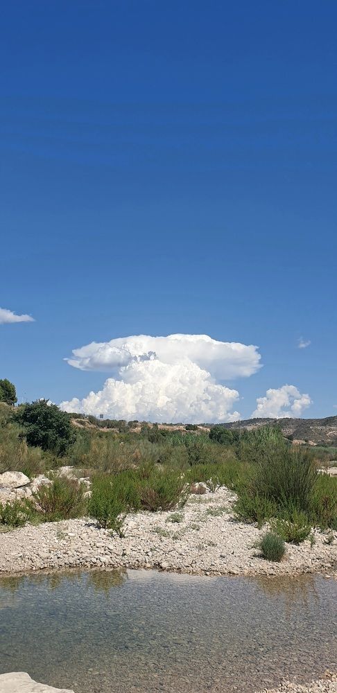 Фотография автора Алёна Сорокина