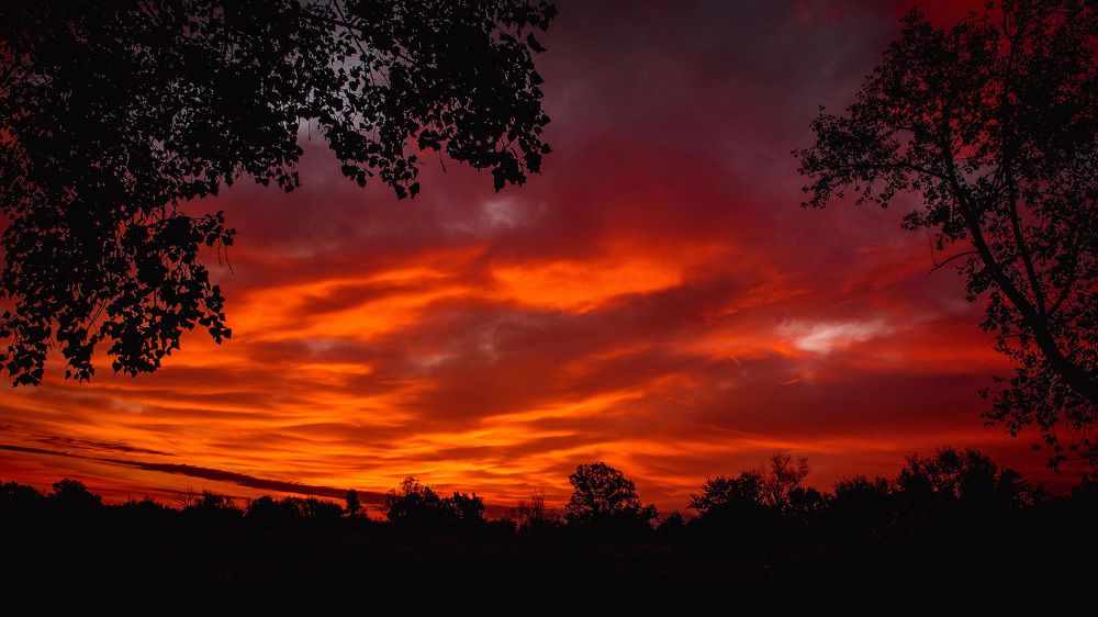 Photograph by ЕВГЕНИЙ РУДЕНКО