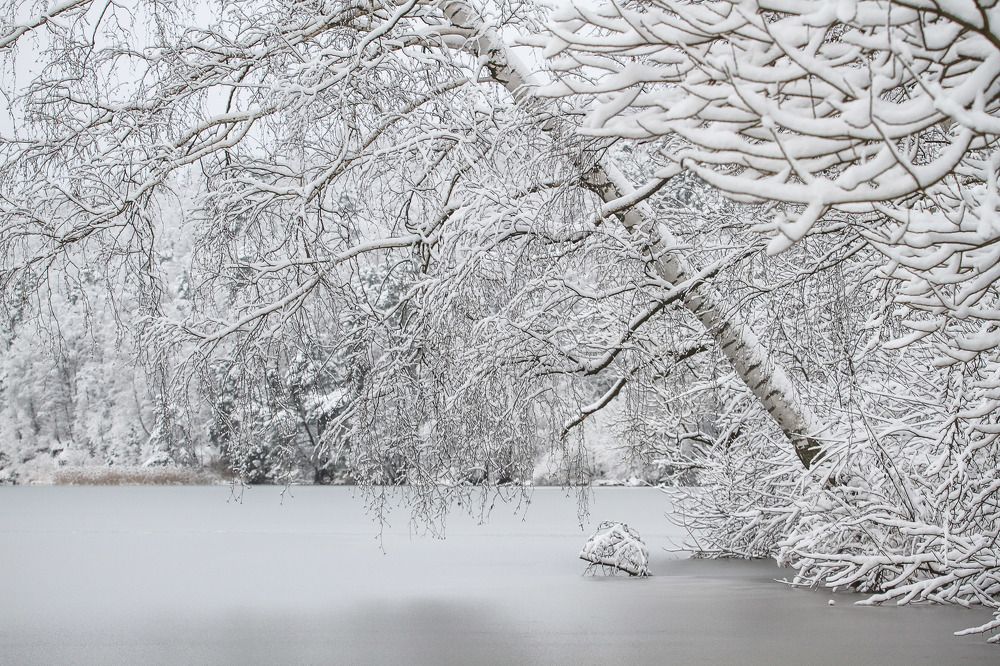 Photograph by Danas Ryženinas