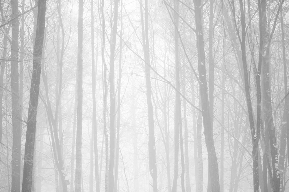 Photograph by Danas Ryženinas