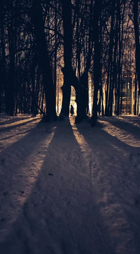 Photograph by Анна Семусева